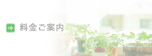 年間行事